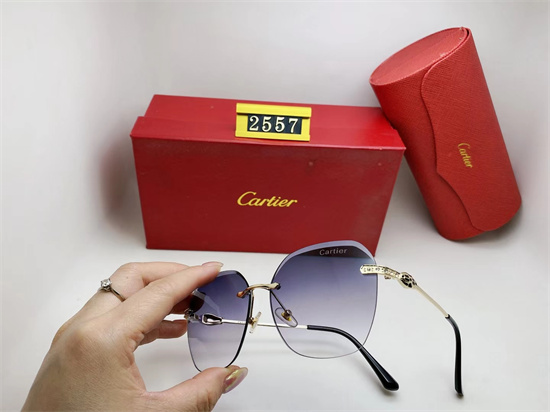 Cartier Sunglass A 021